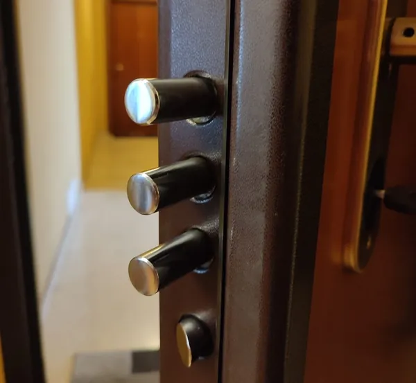Perni e scrocco della serratura di una porta blindata – Bologna